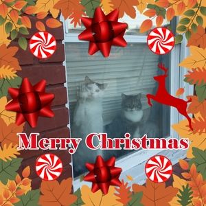 Meet your Posher, Maryann